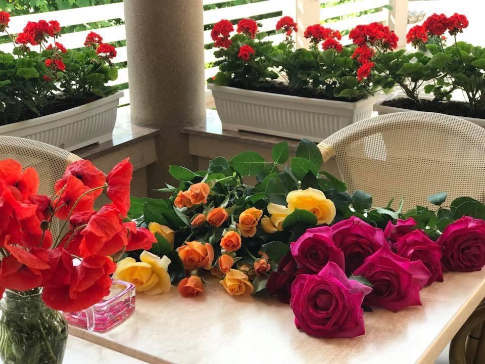 Villa Brussels Дева Екстериор снимка